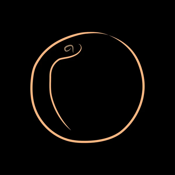 Şeftali, vektör çizim renkli anahat