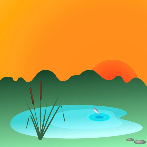 Reeds and lake — Stock Vector