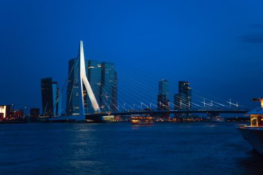 Rotterdam gece köprü köprü görünümü