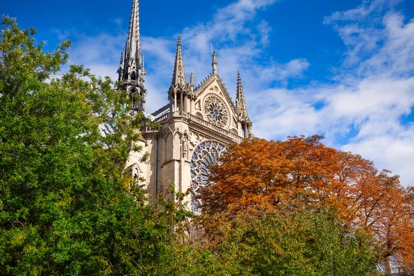De voorkant van de Notre Dame Parijs, Frankrijk — Stockfoto