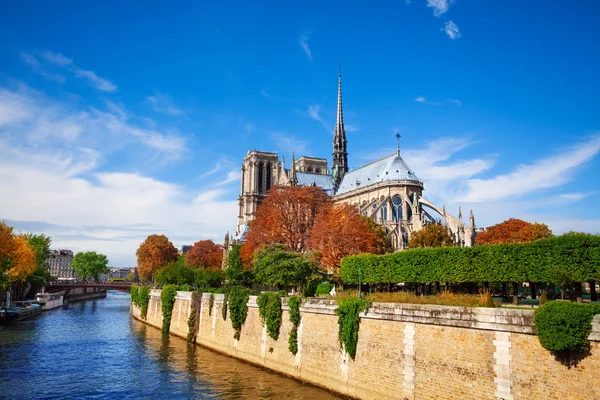 Notre Dame w Paryżu — Zdjęcie stockowe