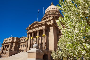 Boise bina Capitol