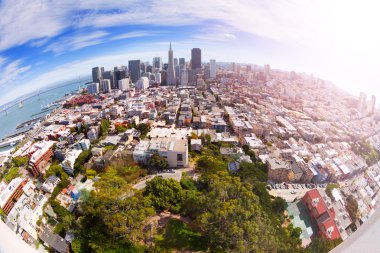 Hill San Francisco panorama