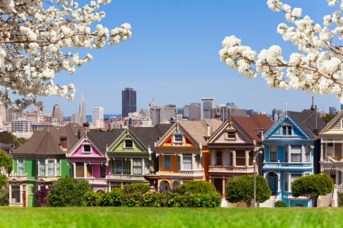 Painted ladies and San Francisco s