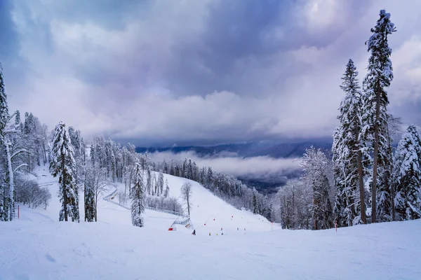 Estância de esqui e coberto com abetos de neve — Fotografia de Stock