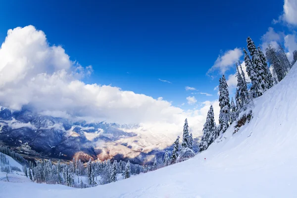 Panorama of mountains after snowfall