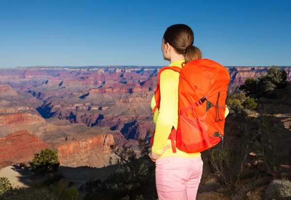 Yong mulher caminhante em Grand canyon — Fotografia de Stock