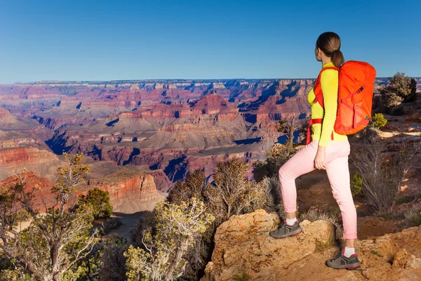 Caminhante jovem em Grand canyon — Fotografia de Stock