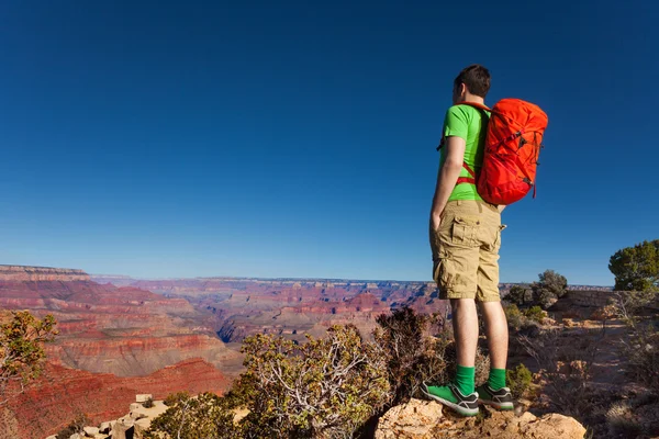 Hiker stand on the edge of Grand canyon — Stock Photo, Image