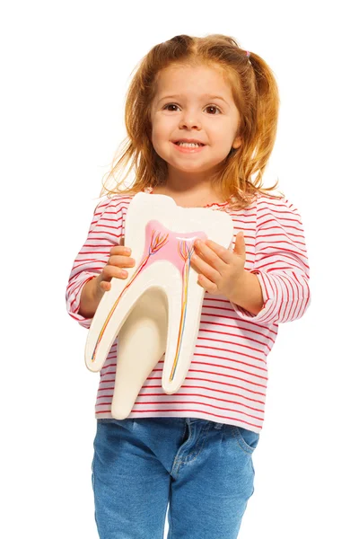 Bambina con in mano un modello di dente — Foto Stock