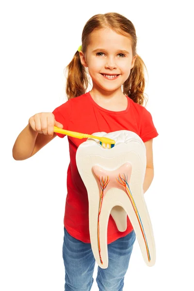 Sorridente ragazza spazzolatura modello di dente — Foto Stock