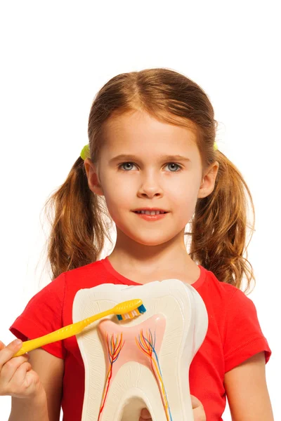 Девушка с косичками держит зуб — стоковое фото
