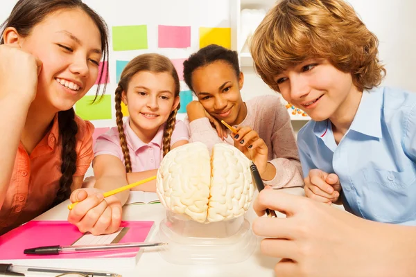 Students studying anatomy at class — Stock Photo, Image