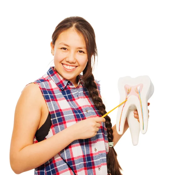 Asiatico ragazza con puntatore e dente modello — Foto Stock