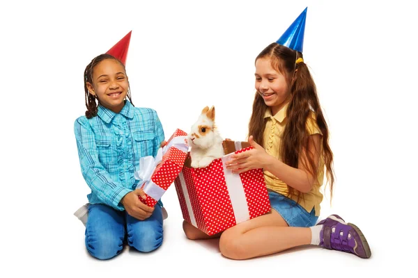 Girls opening present and finds  rabbit — Stock Photo, Image