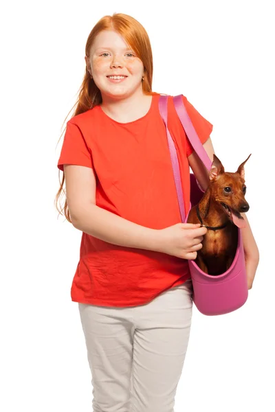 Girl carries red miniature pinscher — Stock Photo, Image