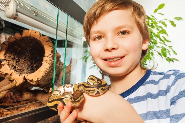 微笑的男孩抱着皇家 python — 图库照片