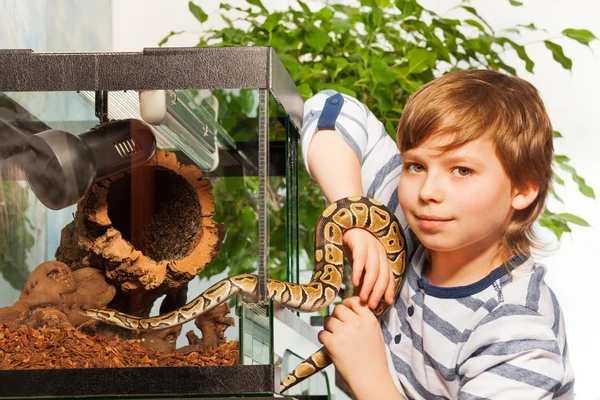 Garçon tenant petit python royal — Photo