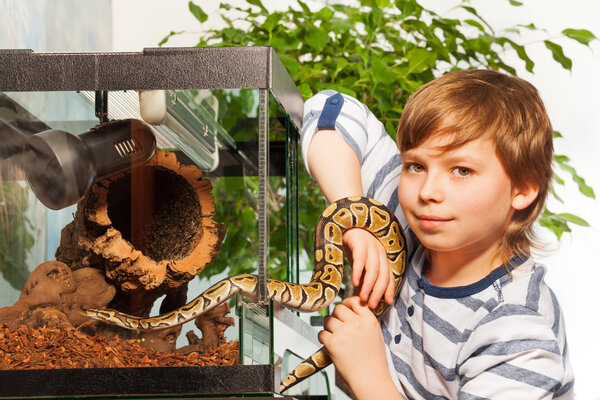 boy holding small Royal python
