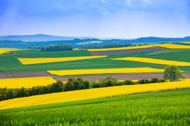 Almanya 'da çayır ve çiçek tarlaları olan kırsal bir bölgenin panoramik manzarası