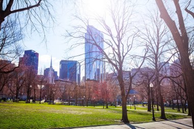 Boston Common Panoraması, Massachusetts, ABD 'de şehir merkezi halk parkı.
