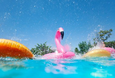 Açık havuzda şişirilebilir flamingo ve donut şamandıralarıyla komik aksiyon fotoğrafı.