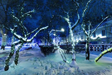 Aydınlatılmış ağaçlar Moskova Bulvarları 'nın gece görüşü Yeni Yıl ve Noel tatilleri için süslenmiş çemberler