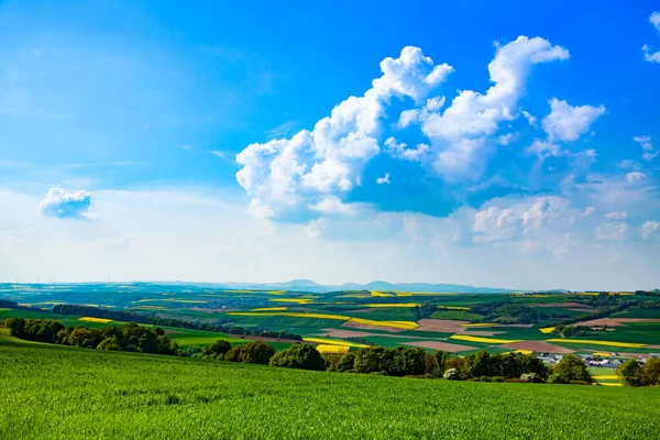 Landschaftsaufnahme Einer Ländlichen Gegend Mit Wiesen Und Weizenfeld Deutschland — Stockfoto