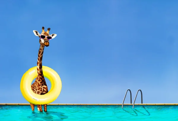 在避暑胜地的游泳池里 长颈鹿与充气甜甜圈站在天空中的滑稽照片 — 图库照片