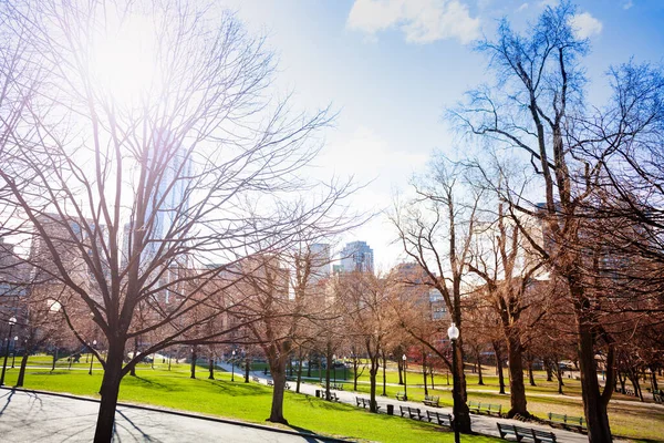 春天和美国麻萨诸塞州市中心的波士顿公园 — 图库照片