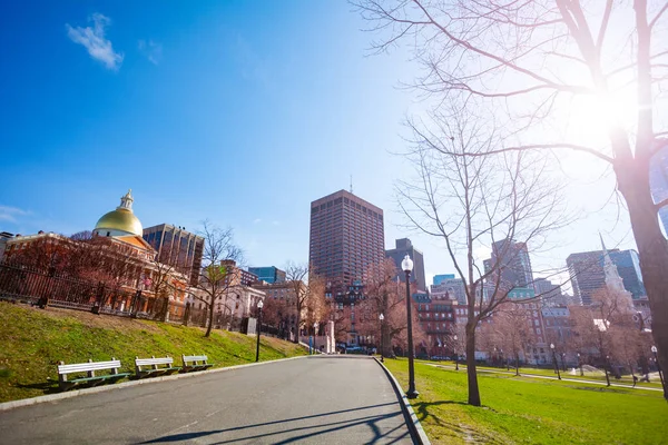 Szent Tőkehal Panoráma Boston Common Központi Nyilvános Park Belvárosban Massachusetts — Stock Fotó