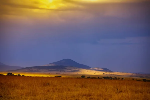 Savannenlandschaft Mit Dramatischem Himmel Der Kenianischen Savanne Maasai Mara Nationalpark — Stockfoto