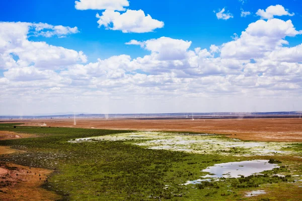 Savannenpanorama Mit Vielen Staub Tornados Auf Der Ebene Amboseli Nationalpark — Stockfoto