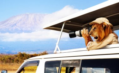 Concept of a tourist as a lion taking photos of Kenyan Kilimanjaro mountain from safari car clipart