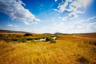 Masai Mara Park Nehri ve Kenya 'daki doğal manzara manzarası