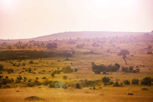Savana Landskap Med Kullar Kenyan Maasai Mara Nationalpark Afrika — Stockfoto