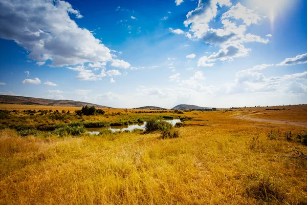 Maasai Mara Park River Natural Landscape Panorama Kenya — Stock Photo, Image