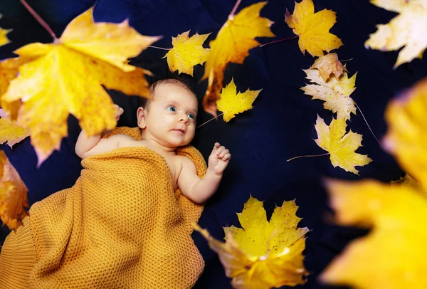 可爱的小宝宝躺在橙色和黄色的秋天枫叶中 — 图库照片