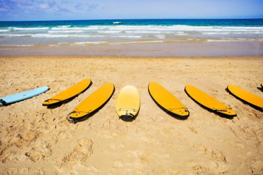 Many surf boards on the beach with sea waves waiting for school group to go in water