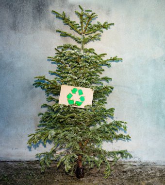 New year tree after celebration with recycling sign on cardboard thrown on the street