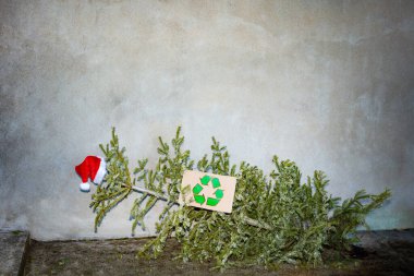 New year tree after celebration with recycling sign on cardboard lay on the street and Sant hat on top