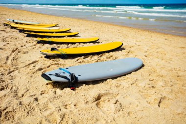 Side view of many surf boards on the beach with sea waves waiting for school group to go in water