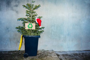Christmas tree thrown to the trash bin on the street after celebration with recycling sign cardboard and Santa hat