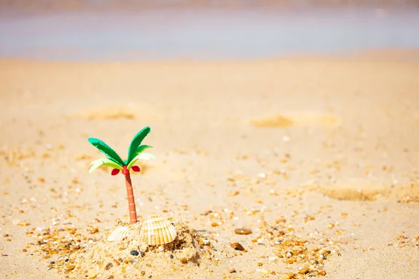 Miniatur Palme Und Muschel Sand Nahaufnahme Der Wüste — Stockfoto
