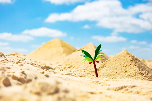 Miniature Tiny Toy Palm Tree Pyramids Egypt Desert Made Sand — Foto Stock