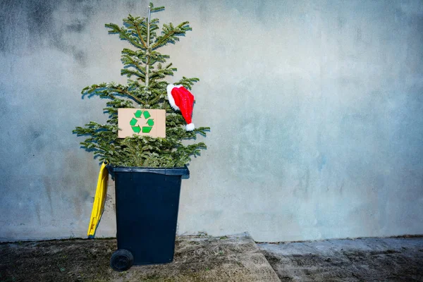 Christmas Tree Thrown Trash Bin Street Celebration Recycling Sign Cardboard — Stok fotoğraf