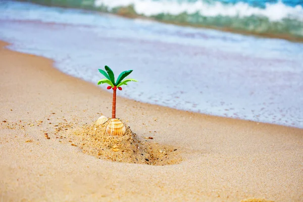 Miniature Palm Tiny Toy Island Sand Close Sea Beach Waves — Stock Photo, Image