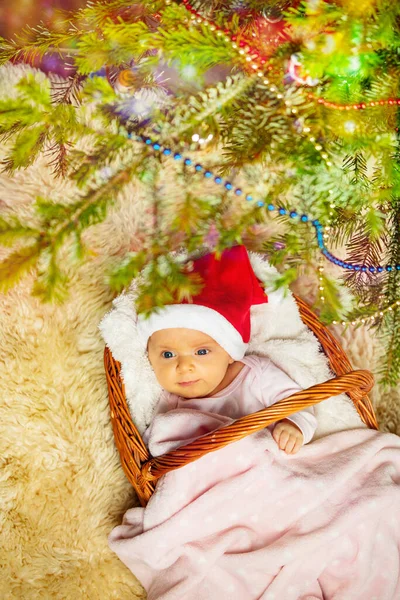 装飾されたクリスマスツリービューの下のバスケットに赤ちゃんの女の子のクローズアップ上から — ストック写真