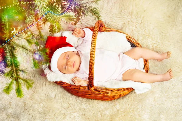 漂亮的小女孩照片睡在装饰圣诞树下的篮子里 — 图库照片