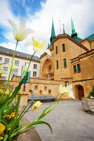 Notre-Dame Cathedral in Luxembourg — Stock Photo, Image